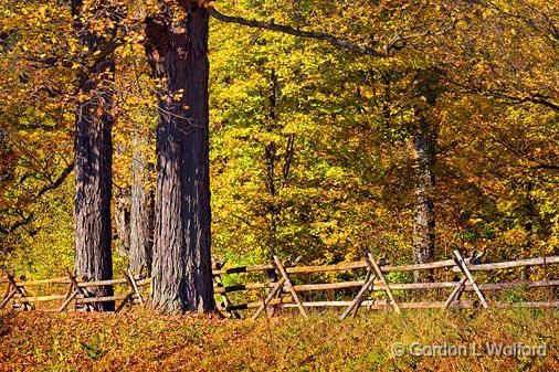 Autumn Landscape_17490.jpg - Photographed near Smiths Falls, Ontario, Canada.
